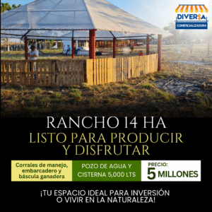 Rancho en Venta – 14 Hectáreas