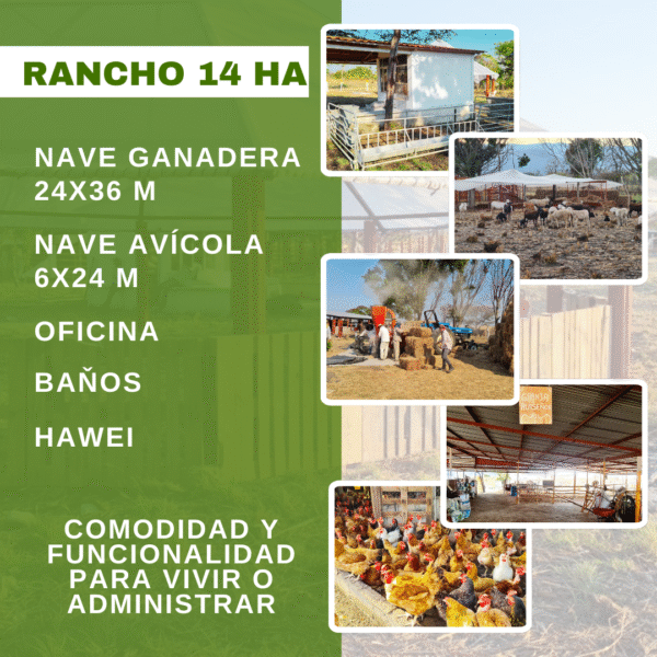Rancho en Venta – 14 Hectáreas - Image 2