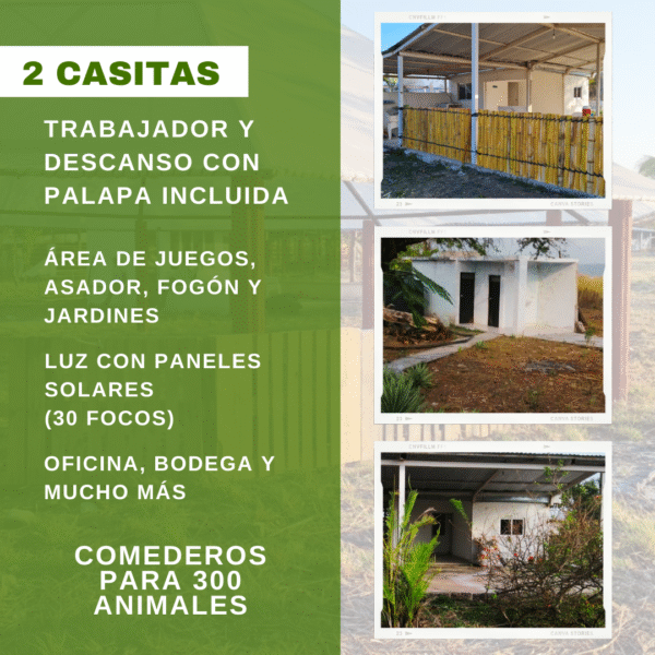 Rancho en Venta – 14 Hectáreas - Image 3