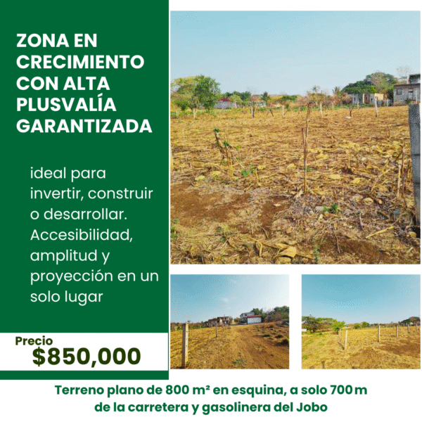 Terreno en Venta – El Jobo - Image 2